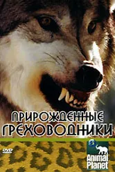 Прирожденные греховодники 2003 постер