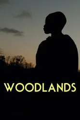 Woodlands постер