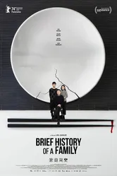 Краткая история семьи 2024 постер