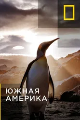 Южная Америка 2011 постер