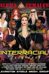 Interracial Playground постер