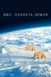 BBC: Планета Земля 2006 постер