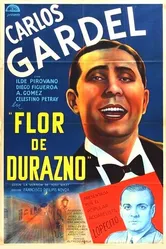 Flor de durazno постер