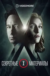 Секретные материалы 2015 постер