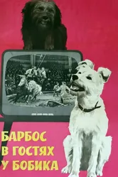 Барбос в гостях у Бобика 1964 постер
