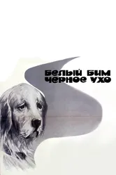 Белый Бим Черное ухо 1976 постер