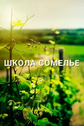 Школа сомелье 2016 постер