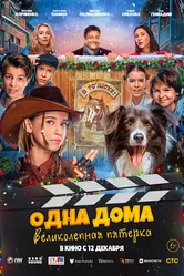 Одна дома: Великолепная пятерка 2024 постер