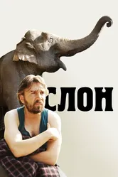 Слон 2010 постер