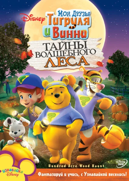 Постер Мои друзья Тигруля и Винни: Тайны волшебного леса 2008