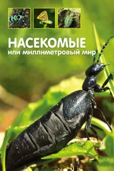 Насекомые, или Миллиметровый мир 2014 постер