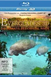 Приключение в Эверглэйдс 2012 постер