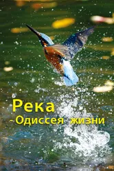Река — одиссея жизни 2013 постер