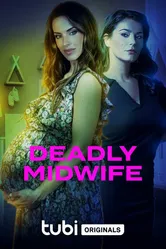 Deadly Midwife постер