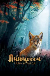 Линцесса. Тайны леса 2023 постер