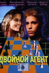 Двойной агент 1992 постер