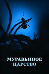 Муравьиное царство 2022 постер