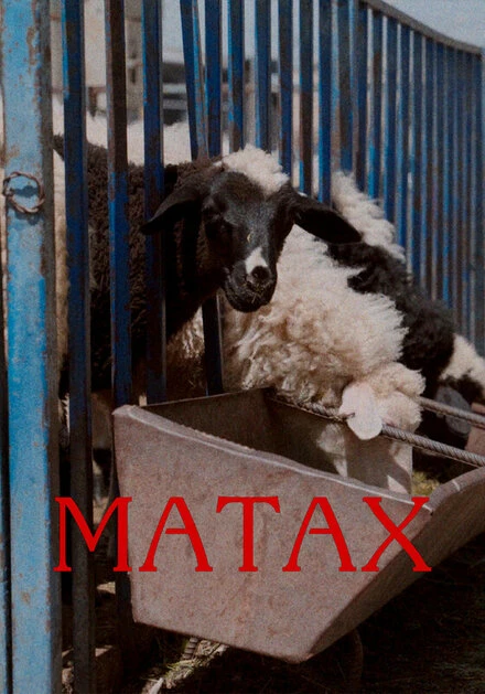 Постер Матах 2024