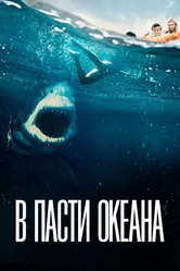 В пасти океана 2020 постер