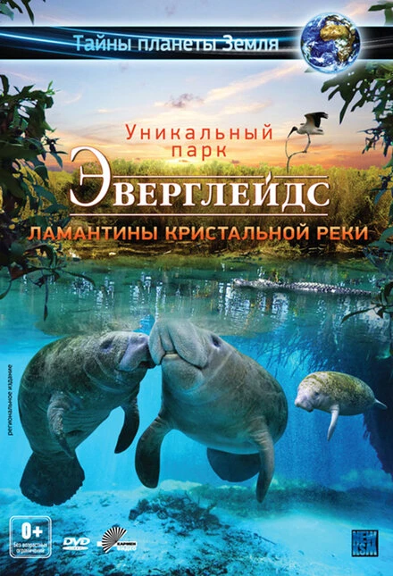 Постер Эверглейдс 3D: Ламантины Кристальной реки 2012