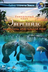 Эверглейдс 3D: Ламантины Кристальной реки 2012 постер