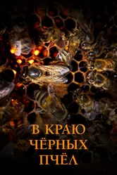В краю чёрных пчёл 2023 постер