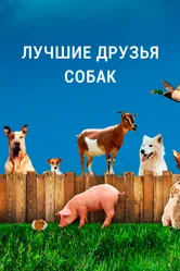 Лучшие друзья собак 2014 постер