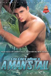A Man's Tail постер