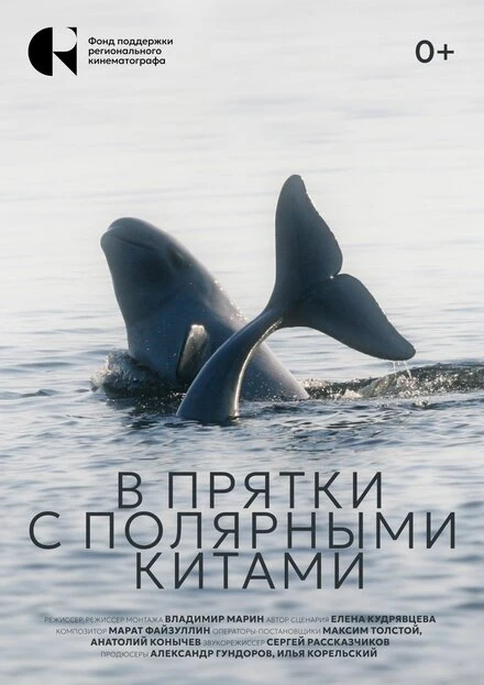 Постер В прятки с полярными китами 2024