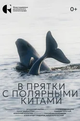 В прятки с полярными китами 2024 постер