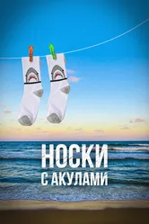 Носки с акулами 2021 постер