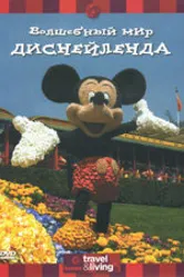 Discovery: Волшебный мир Диснейленда 2003 постер