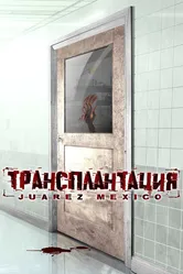 Трансплантация 2005 постер