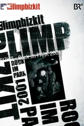 Limp Bizkit: Rock in the Park постер
