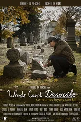 Words Can't Describe постер