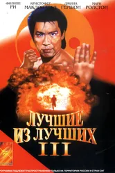 Лучшие из лучших 3 1995 постер