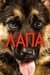 Лапа 2015 постер