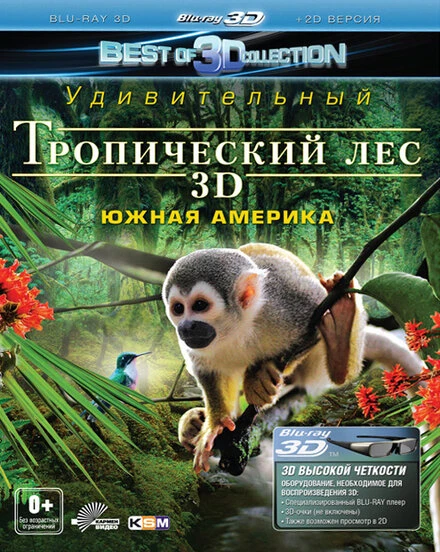 Постер Тропический лес 3D 2012