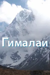 Гималаи 2010 постер