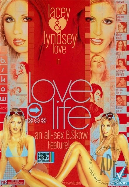 Постер Любовь в жизни 2007