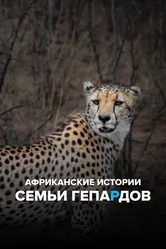 Африканские истории семьи гепардов 2020 постер