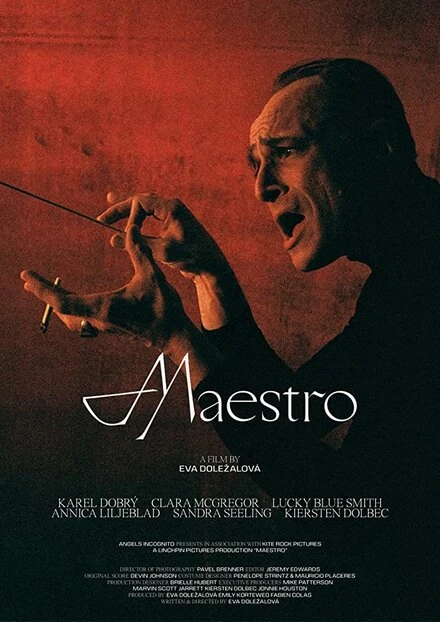 Постер Maestro