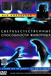 BBC: Сверхъестественные способности животных 1999 постер