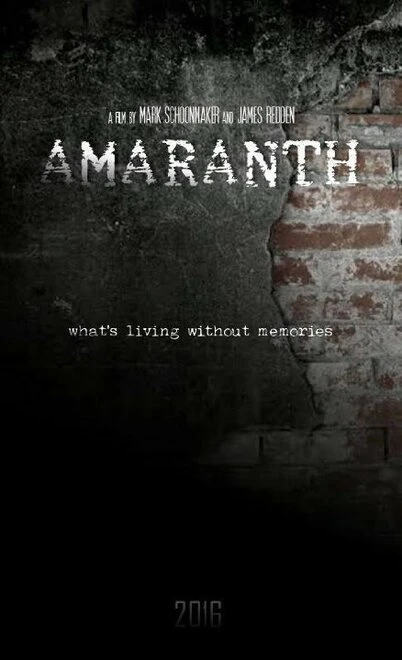 Постер Amaranth