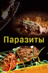 Паразиты 2014 постер