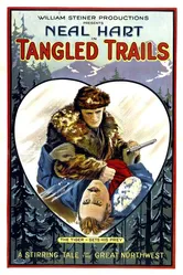 Tangled Trails постер