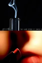 The Last Story of David Allan постер