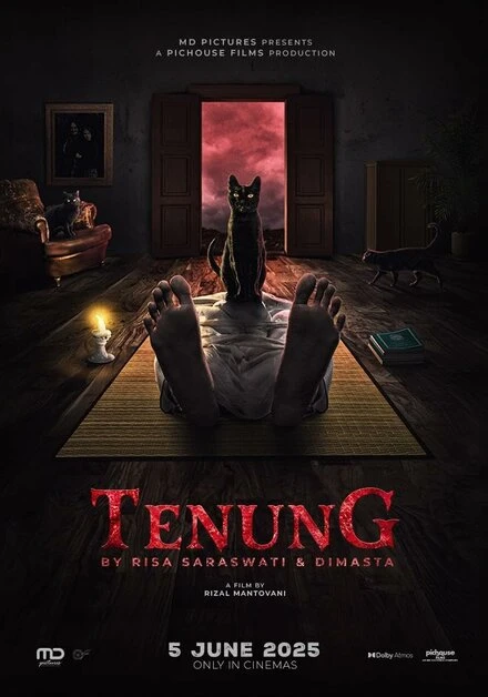 Постер Tenung