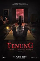 Tenung постер