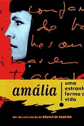 Амалия — такая вот странная жизнь 1995 постер